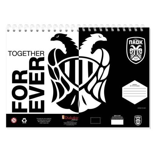 Μπλοκ Ζωγραφικής ΠΑΟΚ For Ever 23Χ33εκ. 40 Φύλλων